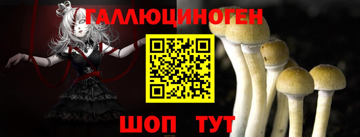 Галлюциногенные грибы MAGIC MUSHROOMS  Вход с VPN  Железноводск 